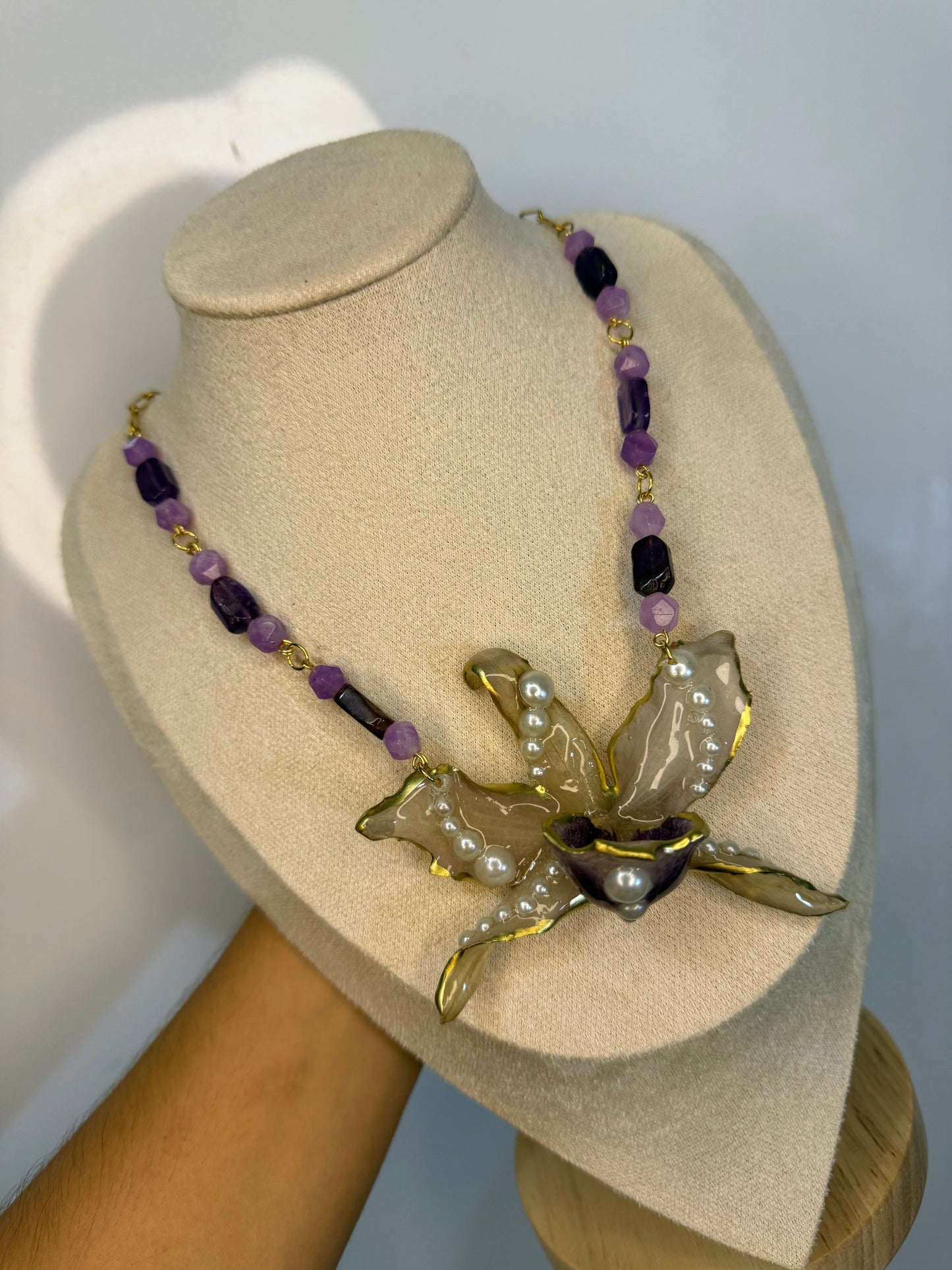 Orquidea dramática y piedras