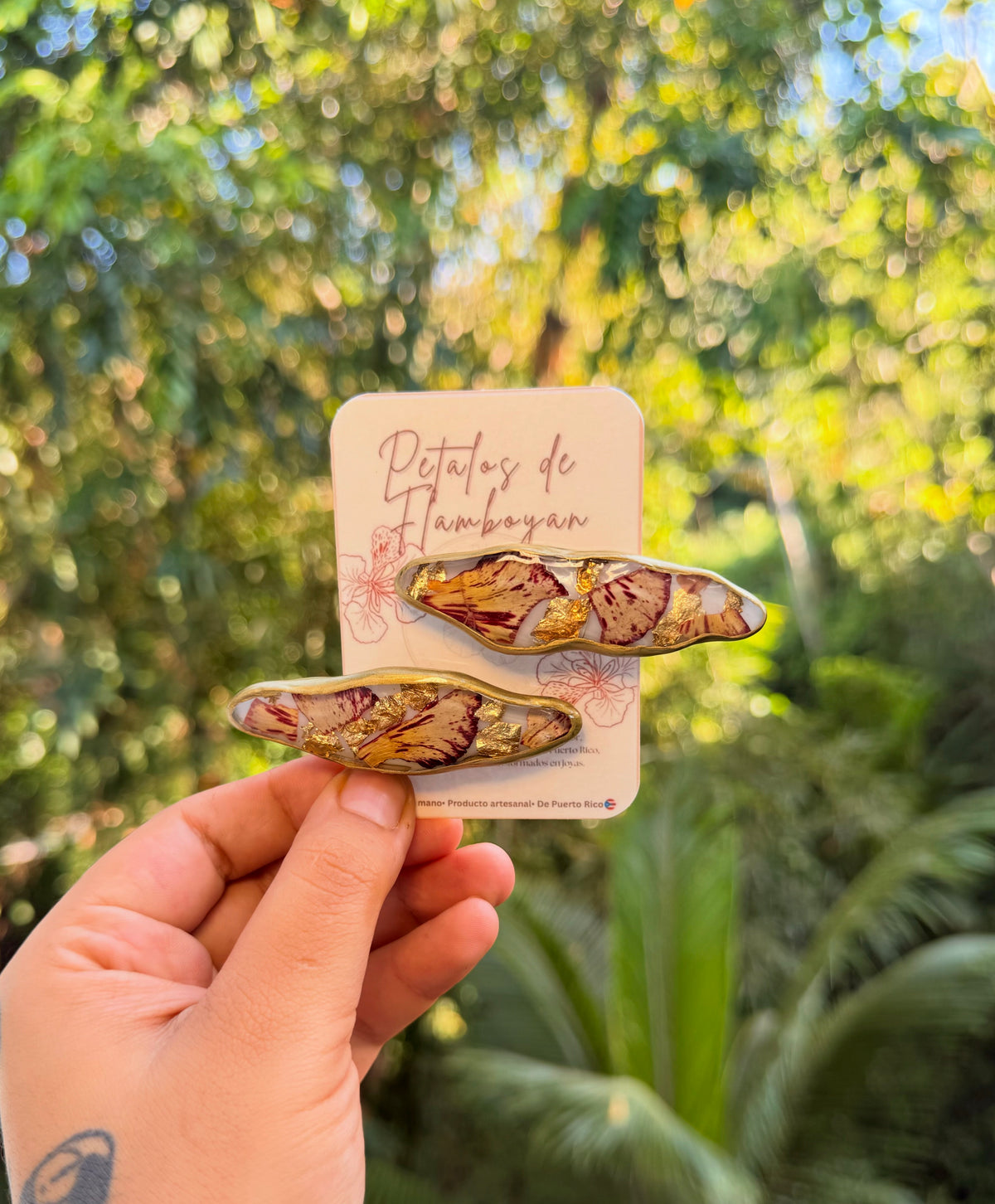 Clips de flamboyanes cristales