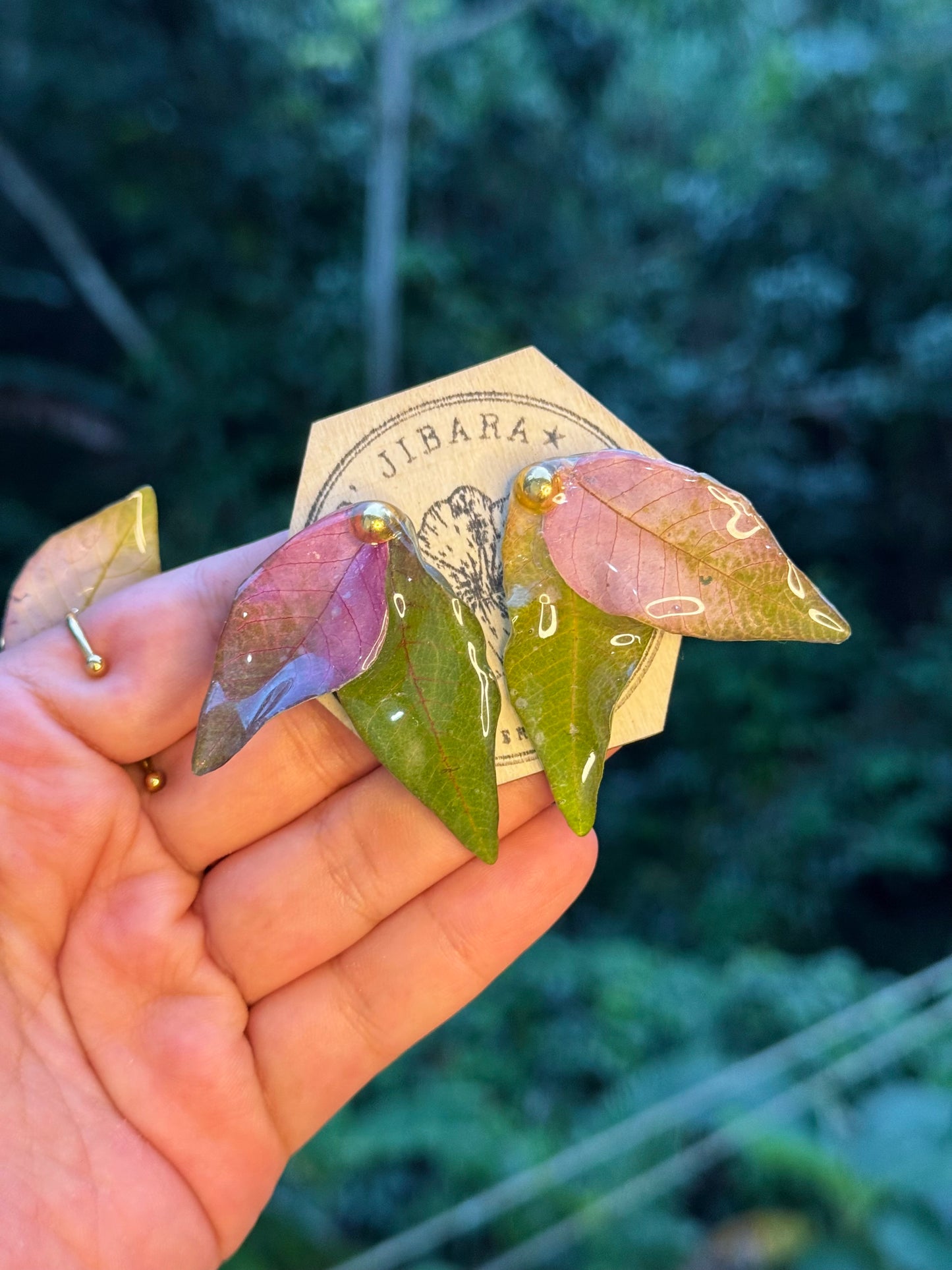 Pantallas D’ pascua verde y rosa