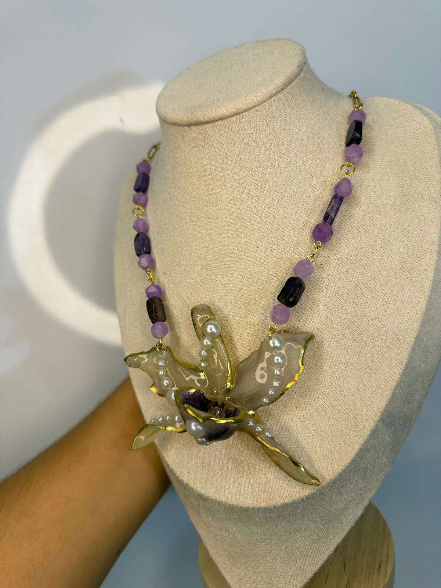 Orquidea dramática y piedras