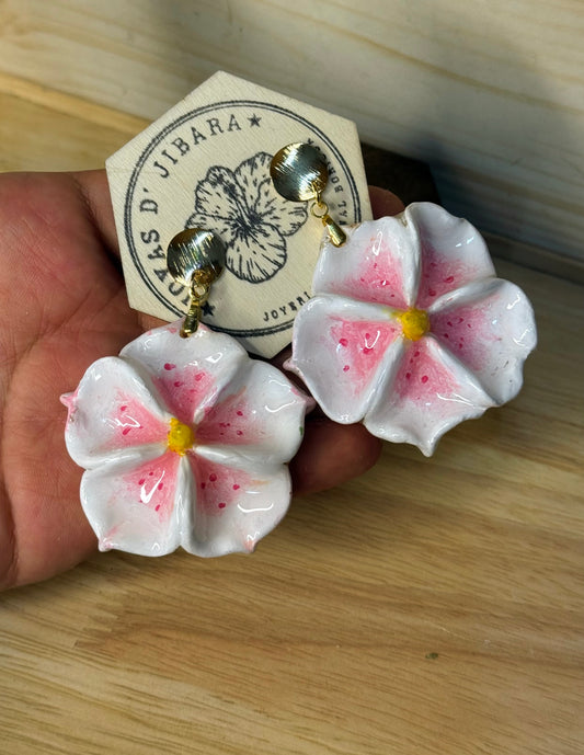 Flor blanca y rosa