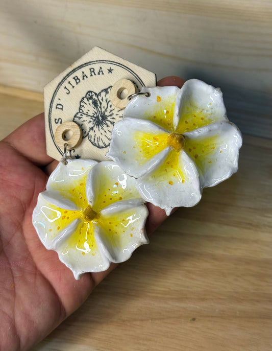 Flor amarilla y blanca