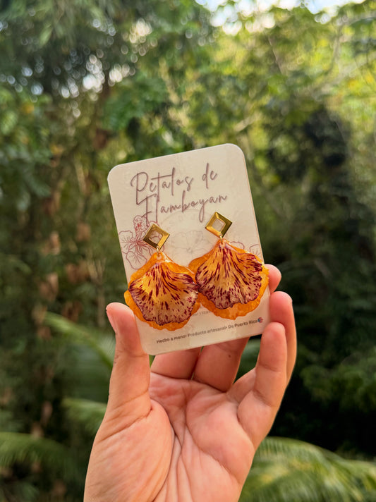 Pantallas concha con flamboyan Amarillo y pinto