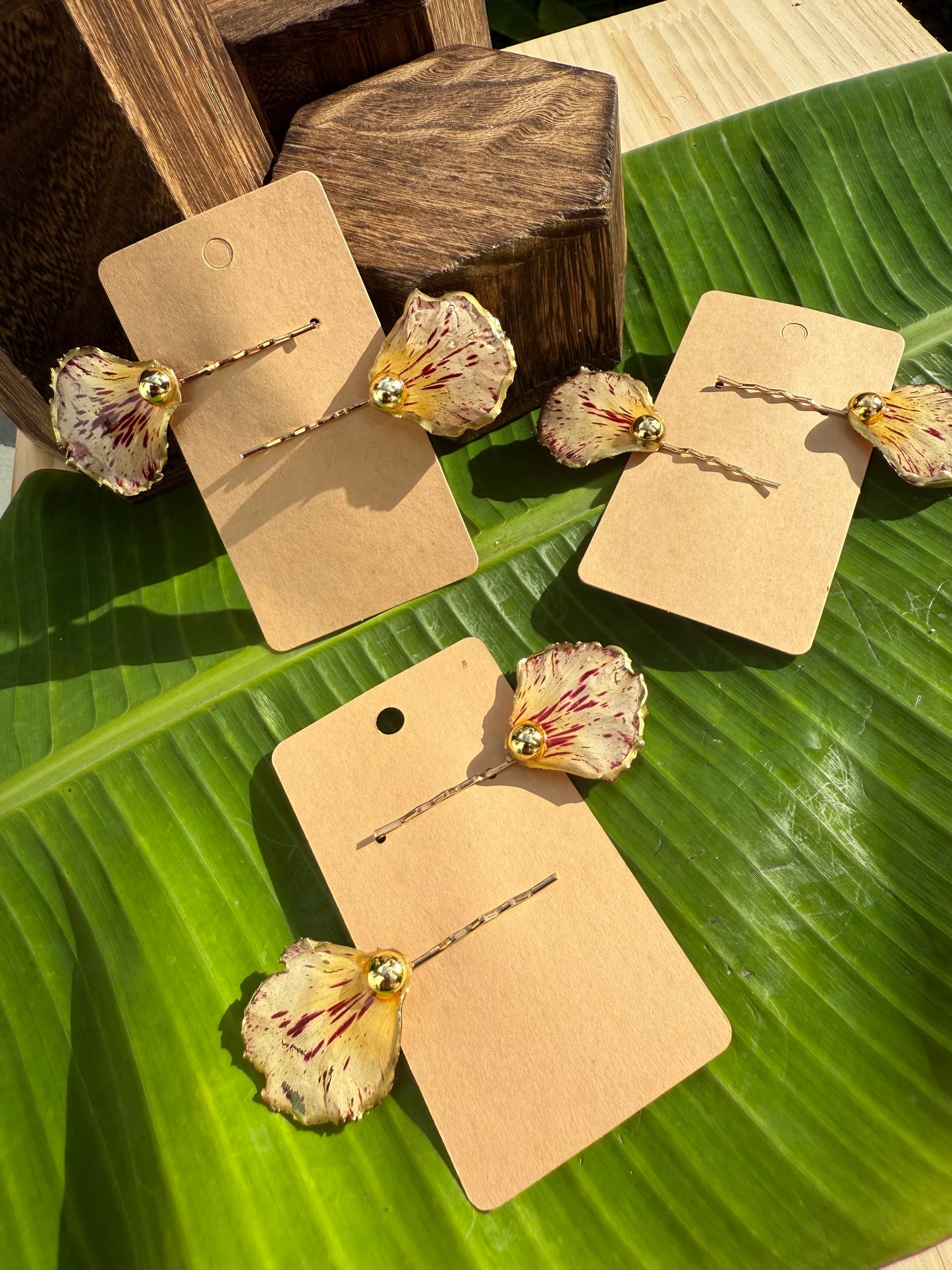 Hebillas de pétalo pinto de flamboyan