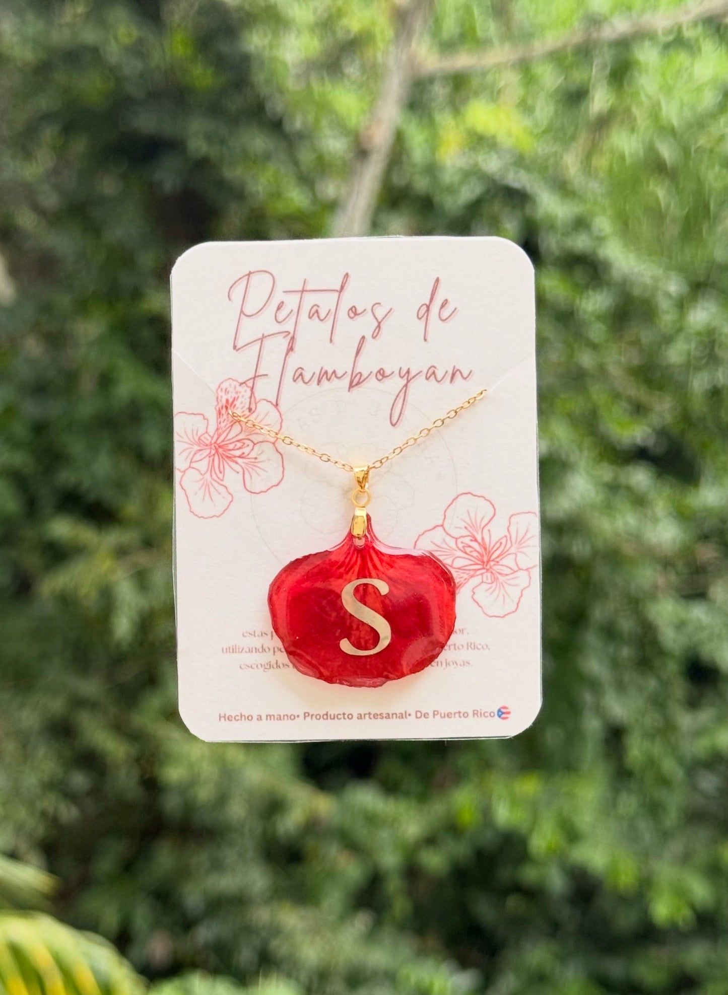 Mi Inicial florece