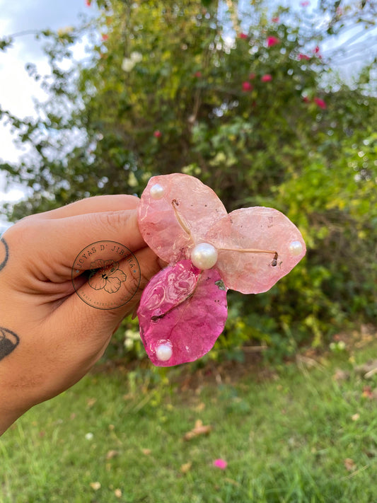 Clip de cabello de trinitarias