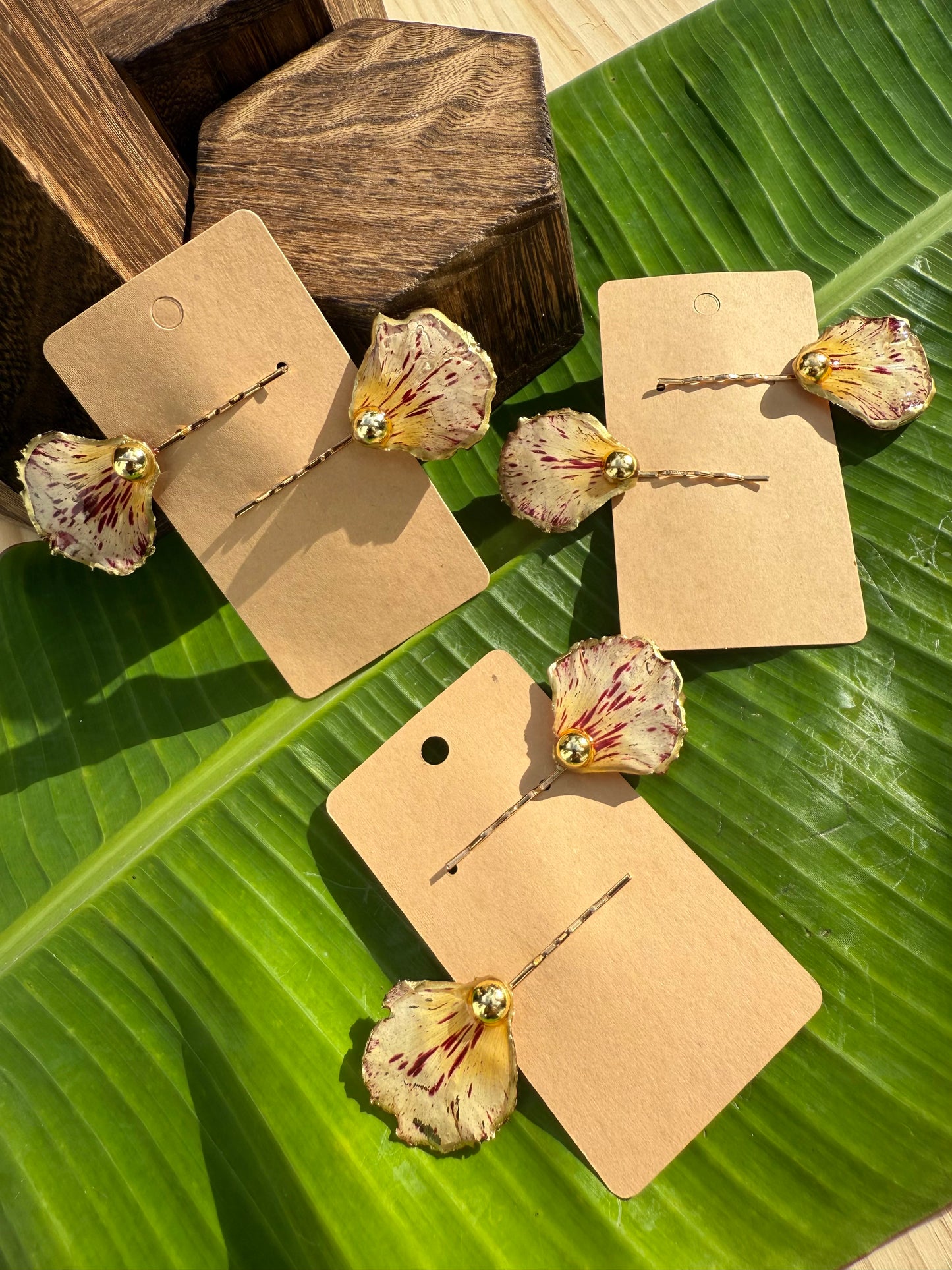 Hebillas de pétalo pinto de flamboyan