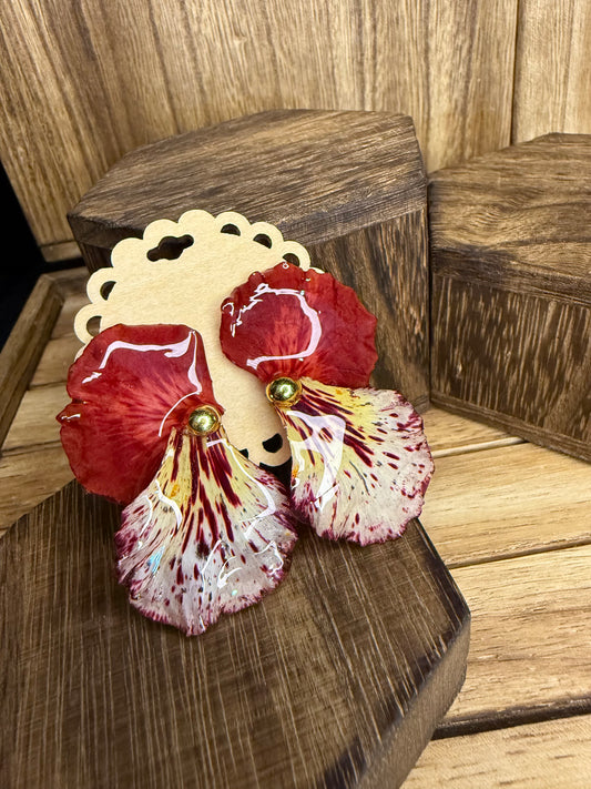 Pantallas de petalo pinto