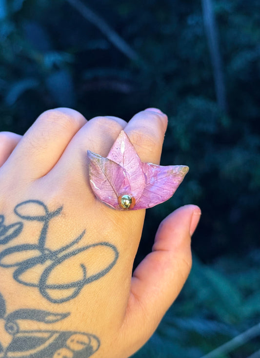 Sortija de pacuitas’