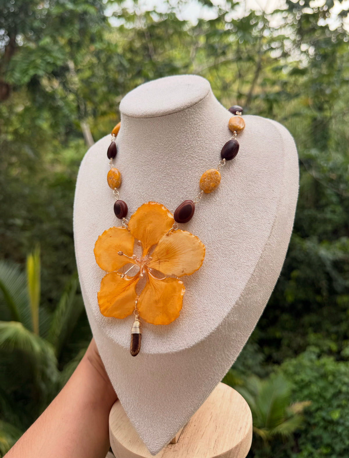 Flamboyan amarillo y semillas d la isla