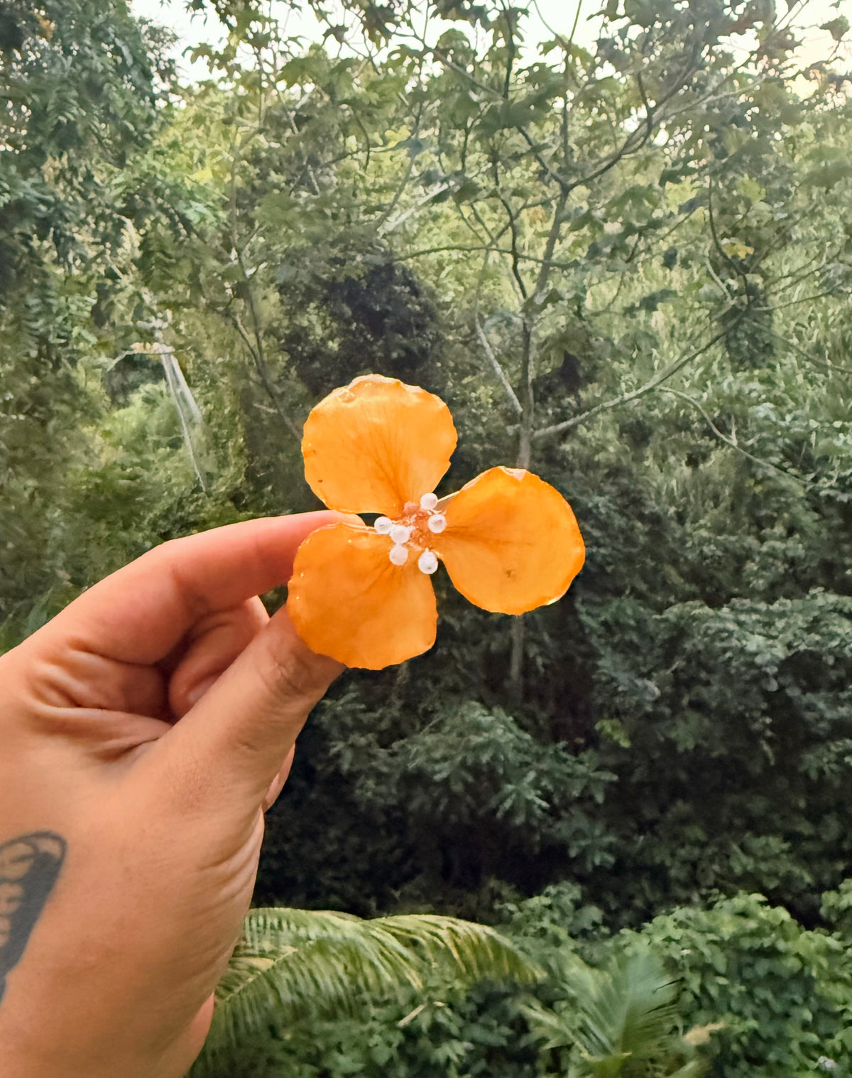 Clip de cabello flamboyan amarillo
