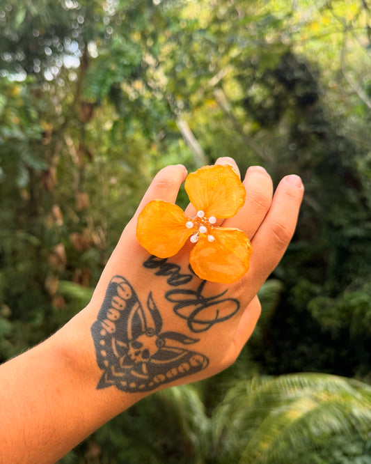 Sortija de flamboyan Amarillo
