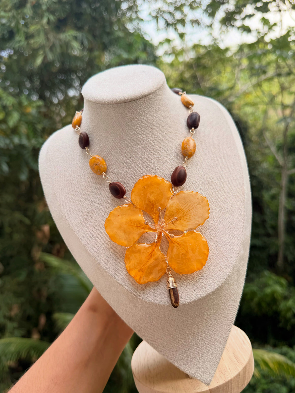 Flamboyan amarillo y semillas d la isla