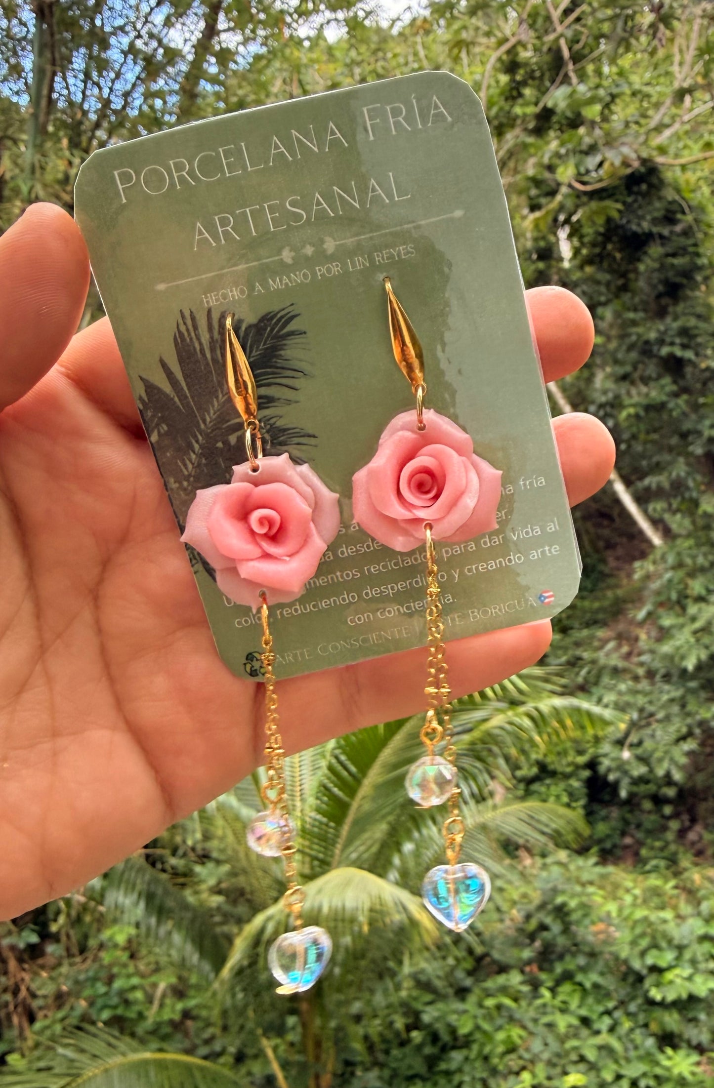 Rosas aurora borealis